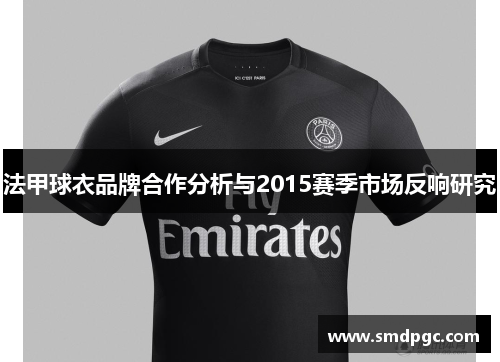 法甲球衣品牌合作分析与2015赛季市场反响研究