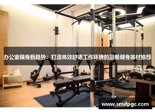 办公室健身新趋势：打造高效舒适工作环境的简易健身器材推荐