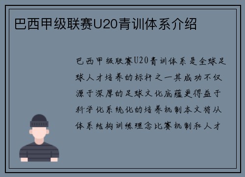 巴西甲级联赛U20青训体系介绍