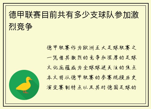 德甲联赛目前共有多少支球队参加激烈竞争