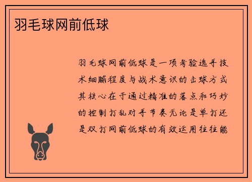 羽毛球网前低球